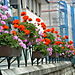 Photo_136_2