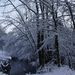 DSC04974