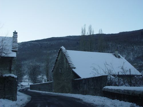 DSC04969