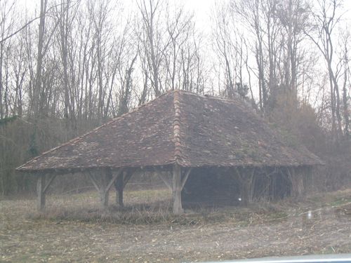 Photo 461