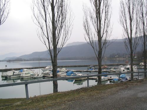 Photo 483