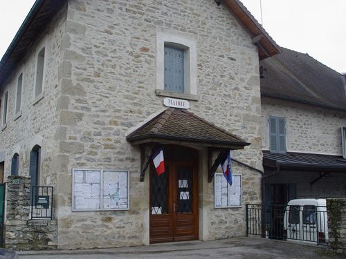 23- Premeyzel